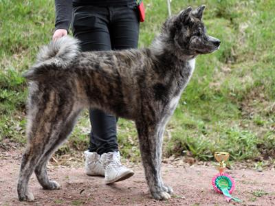 Candida's August Surprise